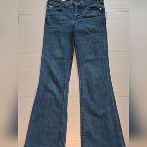 Pilcro And Letterpress High Rise Bootcut From Anthropologie, Size 28.